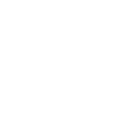 TRUE Original Document QRCODE