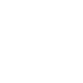 TRUE Original Document QRCODE