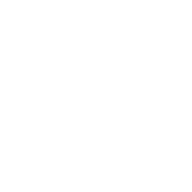 TRUE Original Document QRCODE