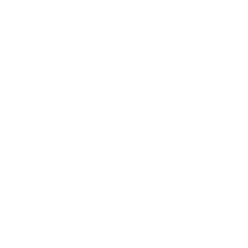 TRUE Original Document QRCODE