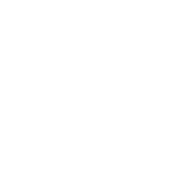 TRUE Original Document QRCODE
