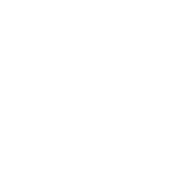 TRUE Original Document QRCODE
