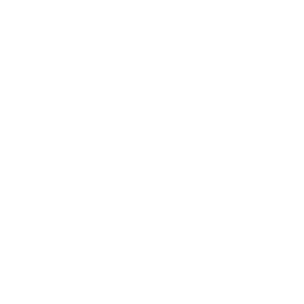 TRUE Original Document QRCODE
