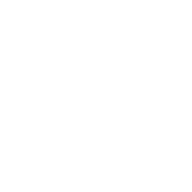 TRUE Original Document QRCODE