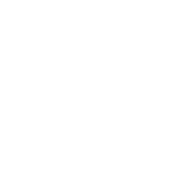 TRUE Original Document QRCODE