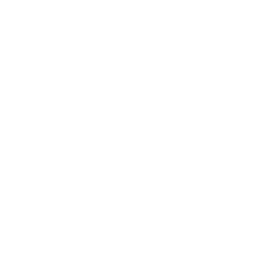 TRUE Original Document QRCODE