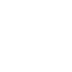 TRUE Original Document QRCODE