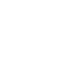 TRUE Original Document QRCODE