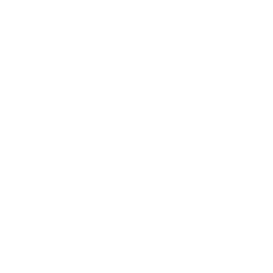 TRUE Original Document QRCODE