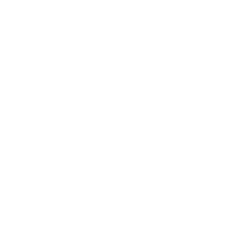 TRUE Original Document QRCODE