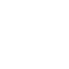 TRUE Original Document QRCODE