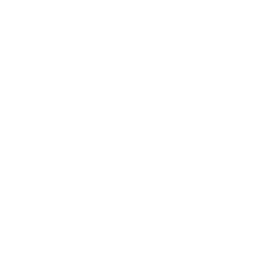 TRUE Original Document QRCODE