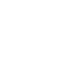 TRUE Original Document QRCODE