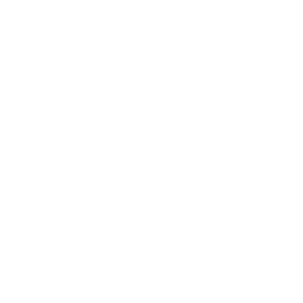 TRUE Original Document QRCODE