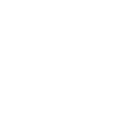 TRUE Original Document QRCODE