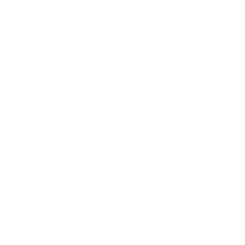 TRUE Original Document QRCODE