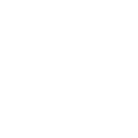 TRUE Original Document QRCODE
