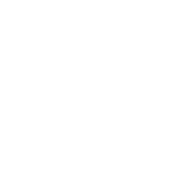 TRUE Original Document QRCODE