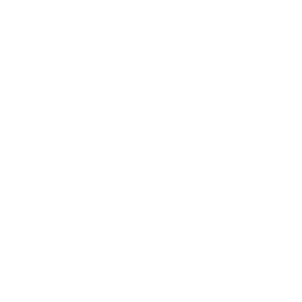 TRUE Original Document QRCODE
