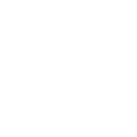 TRUE Original Document QRCODE