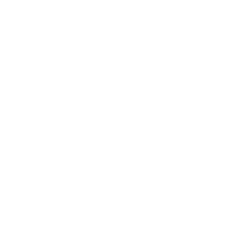 TRUE Original Document QRCODE