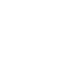 TRUE Original Document QRCODE