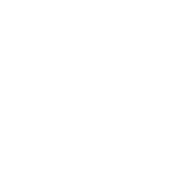 TRUE Original Document QRCODE