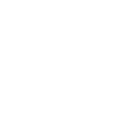 TRUE Original Document QRCODE
