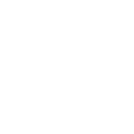 TRUE Original Document QRCODE