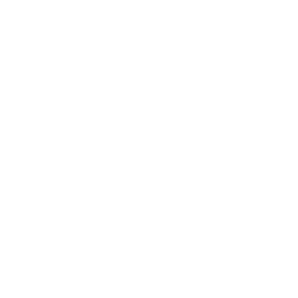 TRUE Original Document QRCODE
