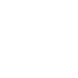 TRUE Original Document QRCODE