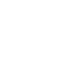 TRUE Original Document QRCODE