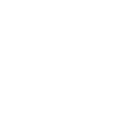 TRUE Original Document QRCODE