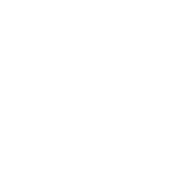 TRUE Original Document QRCODE