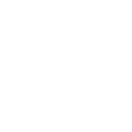 TRUE Original Document QRCODE