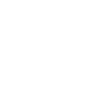 TRUE Original Document QRCODE