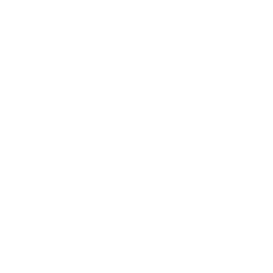 TRUE Original Document QRCODE