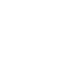 TRUE Original Document QRCODE