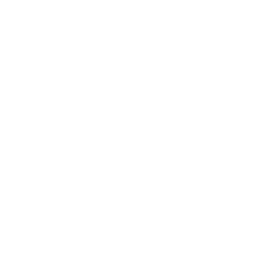 TRUE Original Document QRCODE