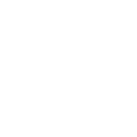 TRUE Original Document QRCODE