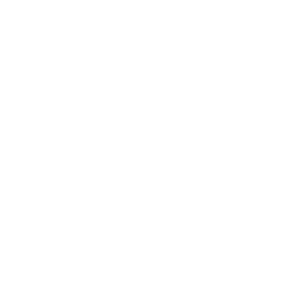 TRUE Original Document QRCODE