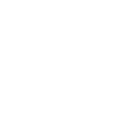 TRUE Original Document QRCODE