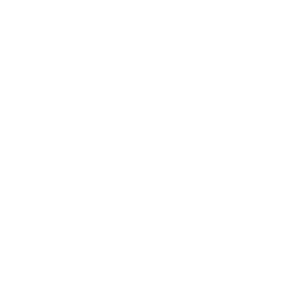 TRUE Original Document QRCODE