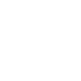 TRUE Original Document QRCODE