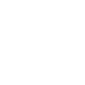 TRUE Original Document QRCODE