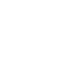 TRUE Original Document QRCODE