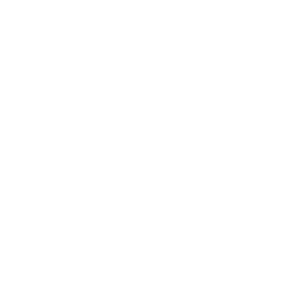TRUE Original Document QRCODE