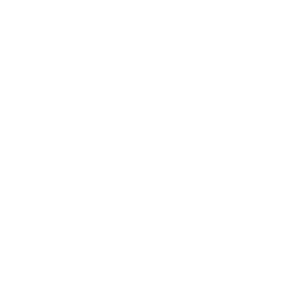 TRUE Original Document QRCODE