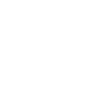 TRUE Original Document QRCODE