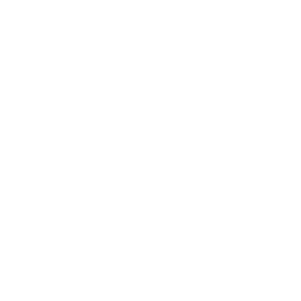 TRUE Original Document QRCODE